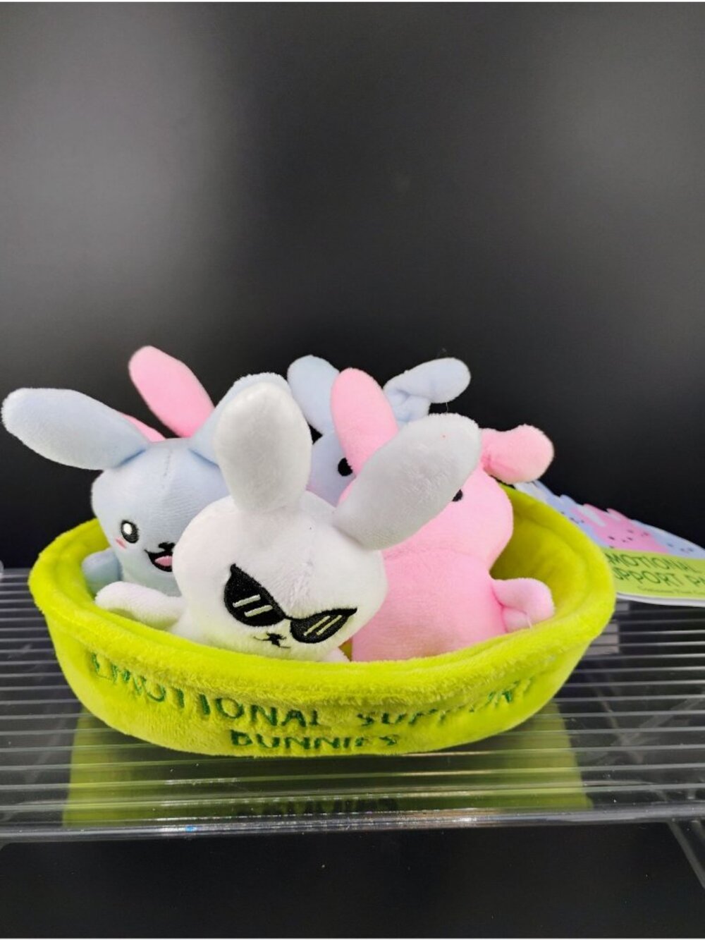 Emotional Support Pals Plush Bunny Set In Basket For All Ages